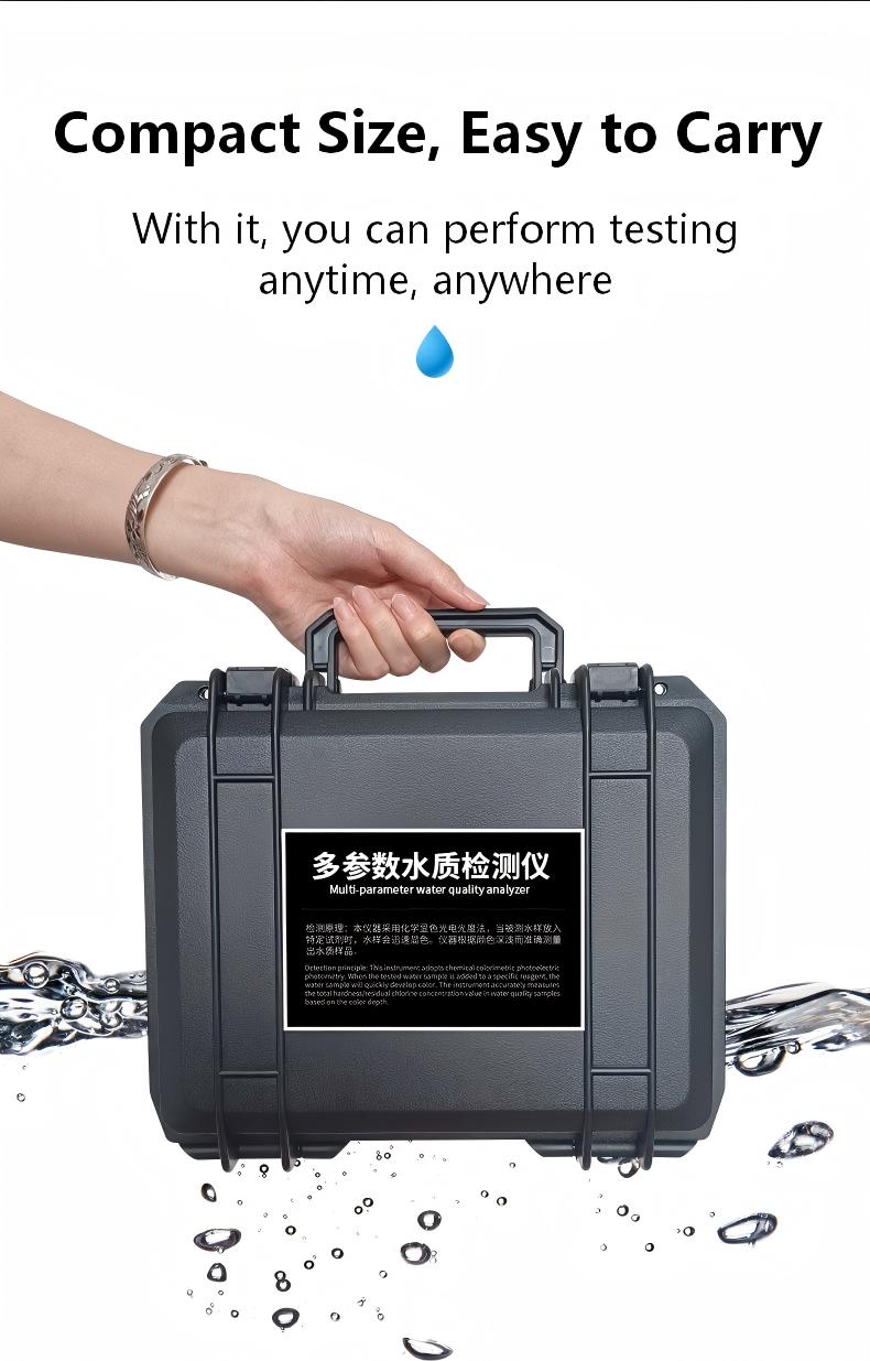 1767529623634888.jpg 12.jpg